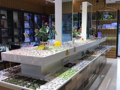 -博客眼镜(大学城店)