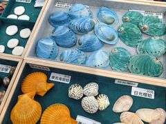 -济南恒隆广场