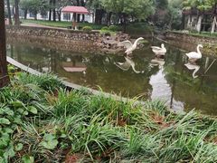 -中共上海市委党校 上海行政学院