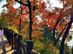 -广州市石门国家森林公园