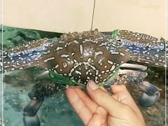 -原龙海鲜大排档(美食地标店)