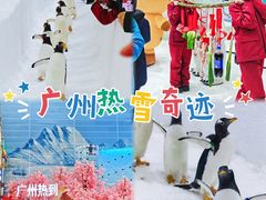 -广州热雪奇迹