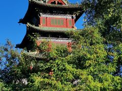 -迎泽公园