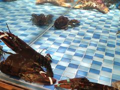 -蓝钻·国际美食海鲜自助百汇(西直门店)