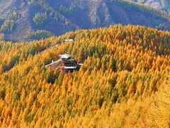 -苏木山森林公园