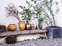 -云里小坐·小院里·团建·宴请·下午茶(三圣乡店)