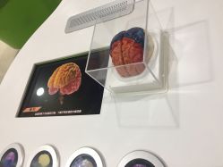 -北京科学中心儿童乐园