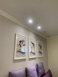 -SILKTONE诗丽堂美容