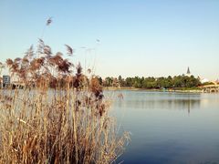 iphone_upload_pic-美兰湖景区