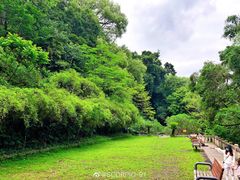 -乌山风景区