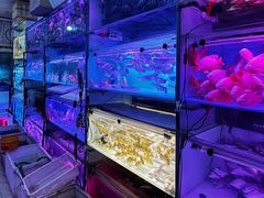 -中环花鸟鱼虫市场