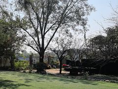 -尚庄度假村·庭台树下·户外烧烤·团建CS·轰趴营地(上庄水库店)
