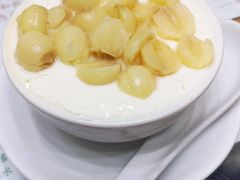 -义顺牛奶公司(新马路老店)
