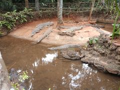 -海南热带野生动植物园