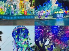 -海合安武汉极地海洋公园