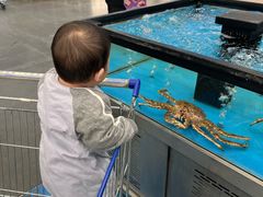 -麦德龙(郑东店)