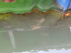 -海上驿站渔家菜馆