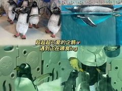 -正佳极地海洋世界