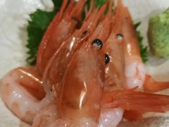 甜虾-富力希尔顿酒店·源氏日餐厅