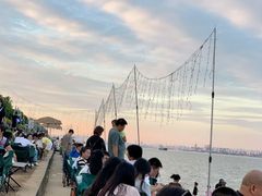 -海鸥岛