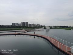-贡湖湾湿地公园