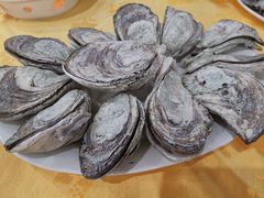生蚝-蚝专家(北滘店)