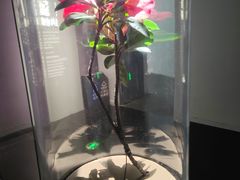 -中国湿地博物馆