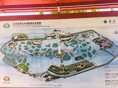 -白洋淀景区
