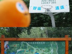-青龙山国家森林公园