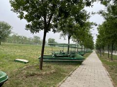 -野鸭湖国家湿地公园