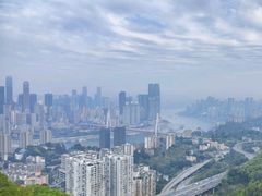 -南山植物园