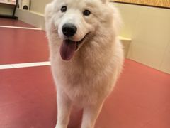 -和它·交个朋友·狗咖猫咖(爱琴海店)