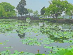 -无锡蠡湖国家湿地公园-蠡园