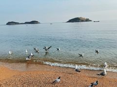 -银沙滩浴场