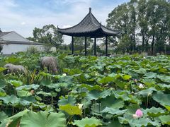 -宁波市保国寺古建筑博物馆