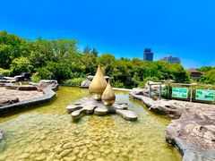 -上海吴淞炮台湾国家湿地公园