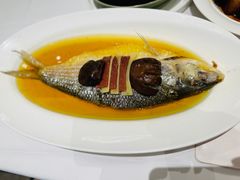 古法蒸鲥鱼-张生记(丁香国际店)