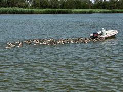 -南大港湿地风景区