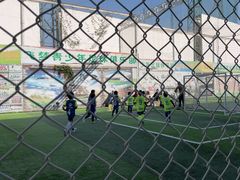 -飞梦少儿足球培训(塘桥校区)