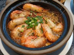 -新白鹿餐厅(松江开元地中海店)