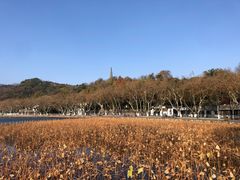 -北山街历史文化街区