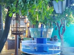 -佬麻雀·剁椒鱼头(京基KK One店)