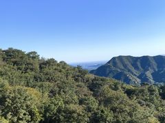-大岭沟猕猴桃谷风景区