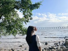 -宝安西湾红树林湿地公园