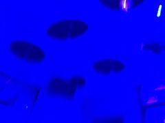 -麦哈迪量贩式KTV