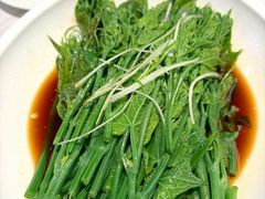 云南佛手瓜尖-七号湘(南湖路店)