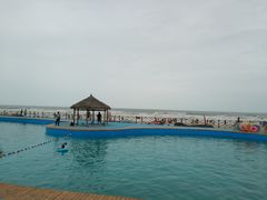 -日照海滨国家森林公园