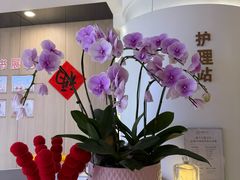 -雪梅月子中心(华侨城店)