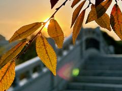 -八大山人梅湖景区