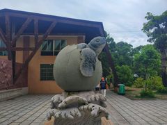 -广东惠东海龟国家级自然保护区